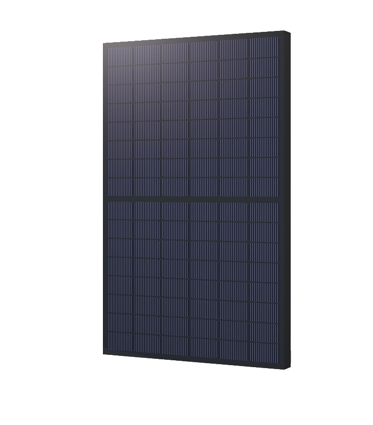 Saules panelis GCL NT12R48/BGDF FullBlack 445W, Full Black, Dual Glass