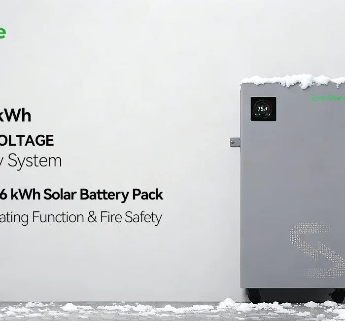EnerShare LiFePO4 akumulators 16,38 kWh 51,2 V 320 Ah (zema sprieguma)