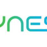 dyness 600x239